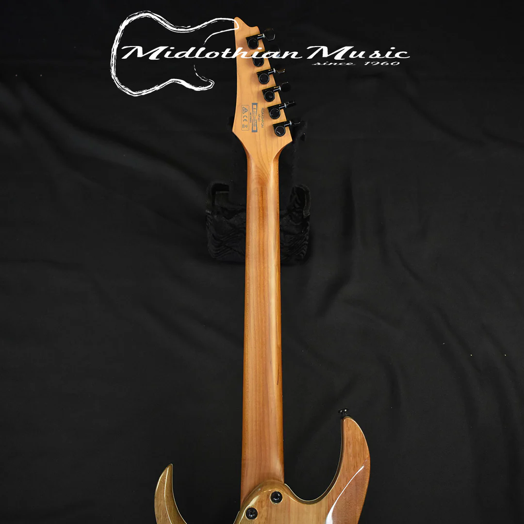 Ibanez RGA42HPQM  Blue Iceberg Gradient Finish NEW! DISCOUNTED! - Image 7